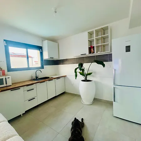 Belle Dans Neuve Avec Piscine Privee Homestay Perpignan